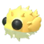 Puffer Fish