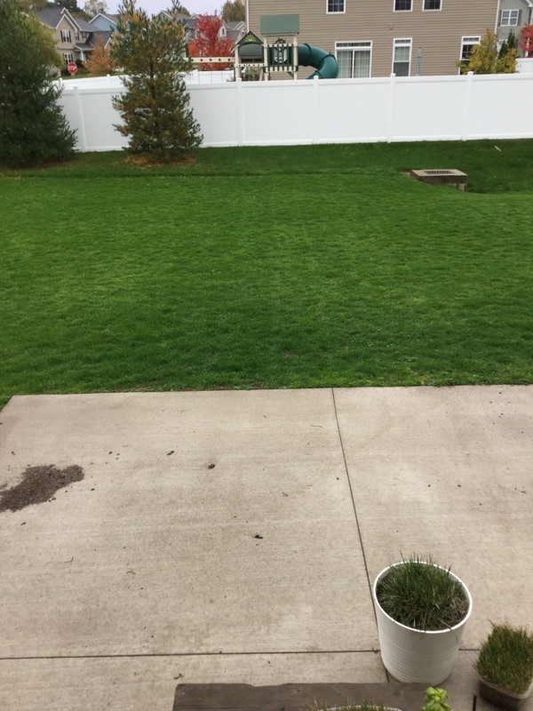 BA73EDC5-648B-4F2D-B4D8-EF3FA9A60909