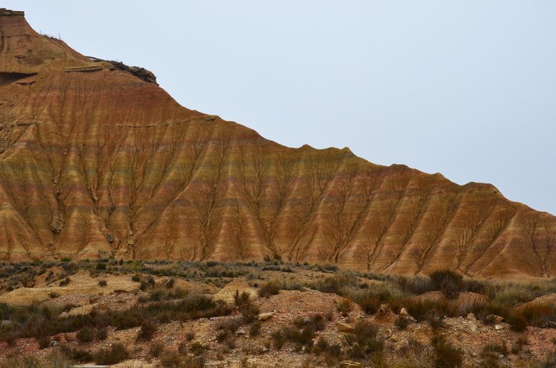 Navarra y sus pueblos-2015 - Blogs de España - Las Bárdenas Reales-15-11-2015 (14)
