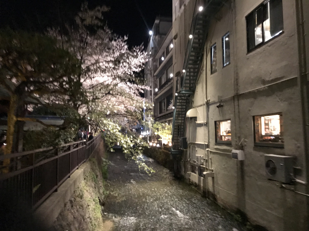 31256744-F1EF-4E1D-BB31-16AA7C508AD9