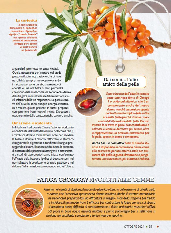 Sal Nat  Ott 2024 (4)