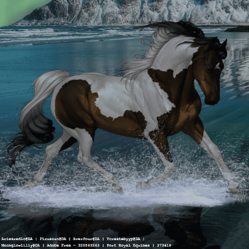 Horse-Avi-4.png