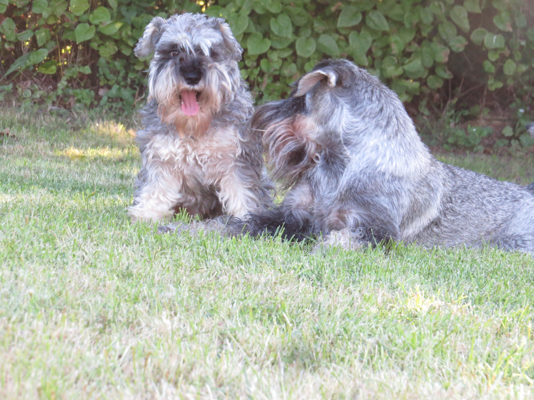 IMG 0757 — Postimages