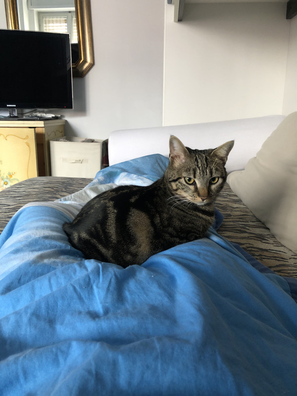 3766B1D9-3A97-42DE-B0EA-83C1D4EC9280