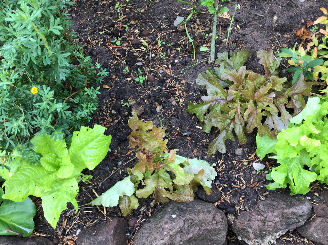 93A87BA2-EF3E-476C-901D-27E8BAA34B47