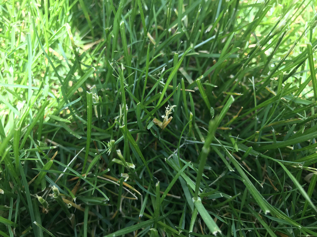 2019-05-24 14.23.09 HDR