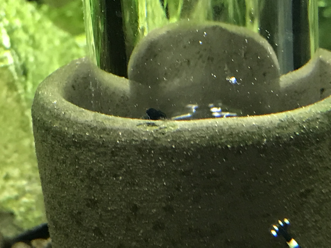 30F4A746-C338-42B7-8708-D8BBB53FB87A