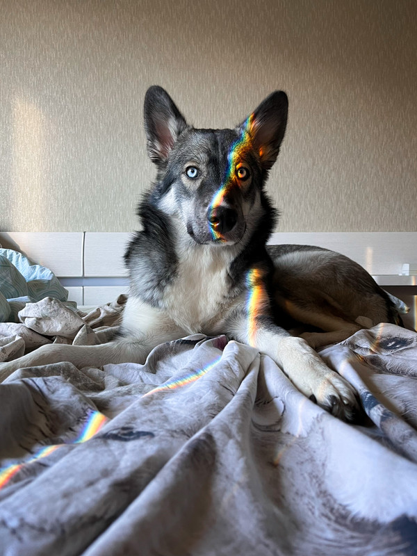 51ED0015-7A6F-405E-9CAA-BFA98F265513