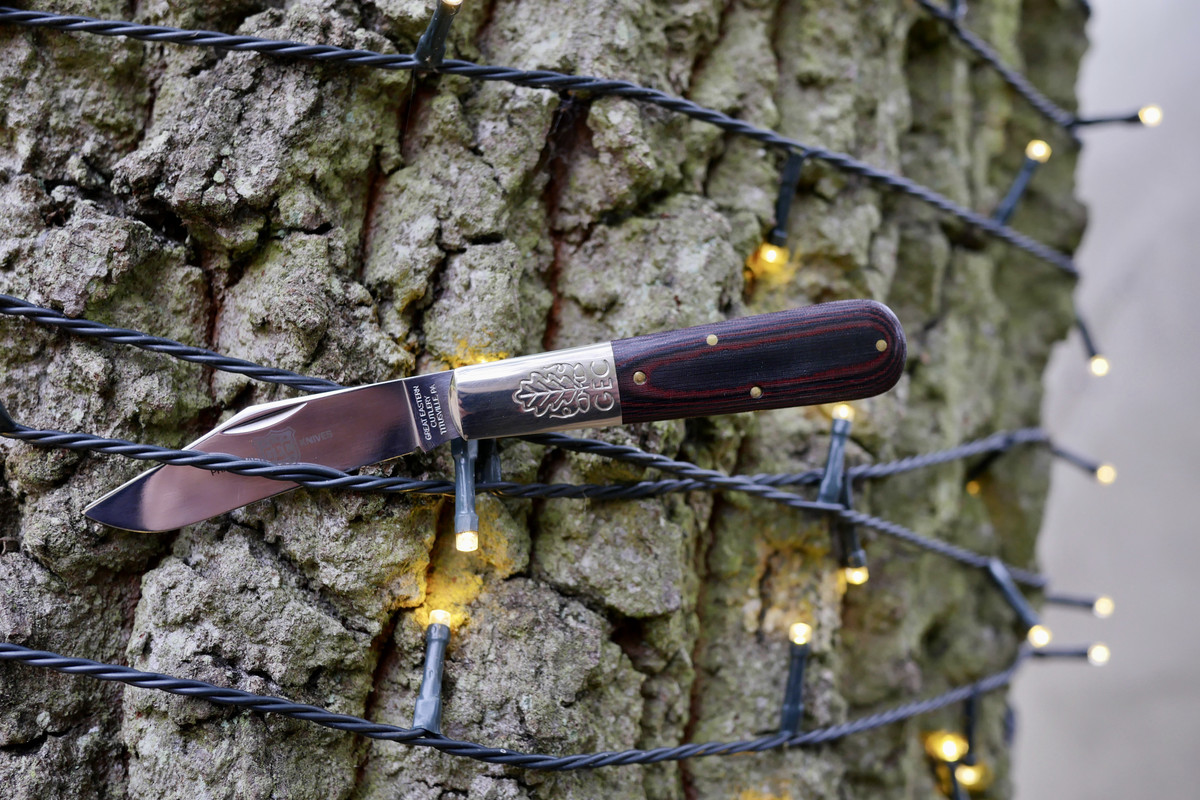 09090DB3-FF30-4BAB-B686-094D19751867