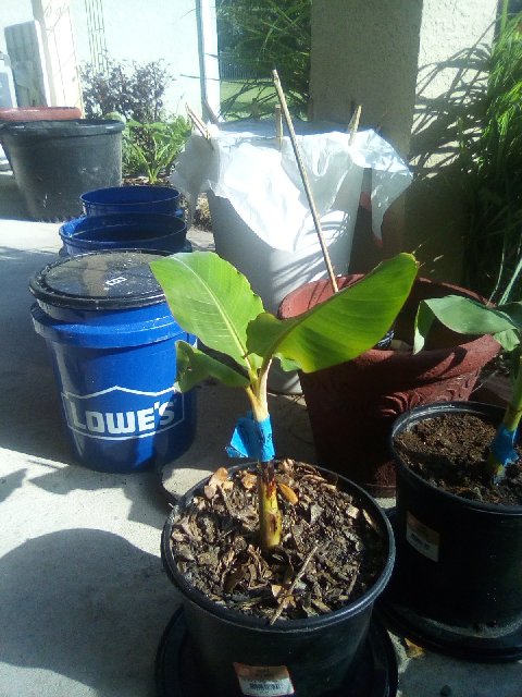 IMG_20200213_151943 (1)