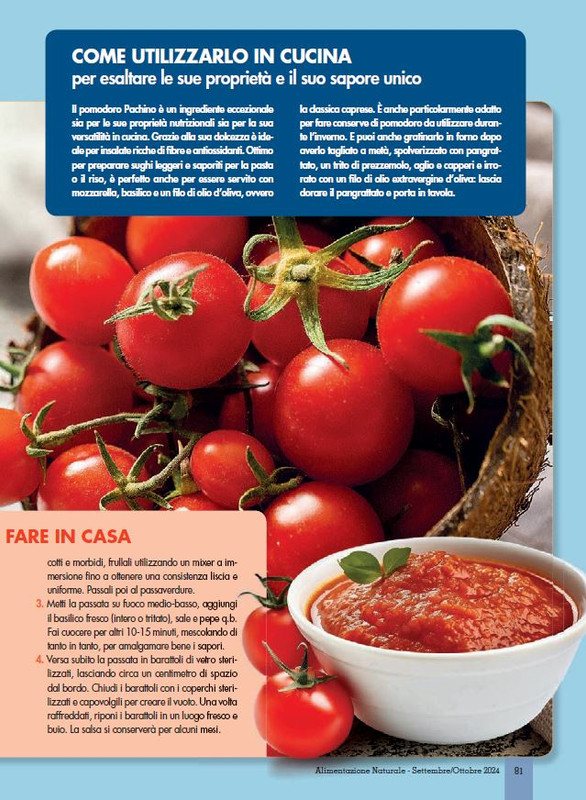 Alim Nat Set-Ott 2024 (12)