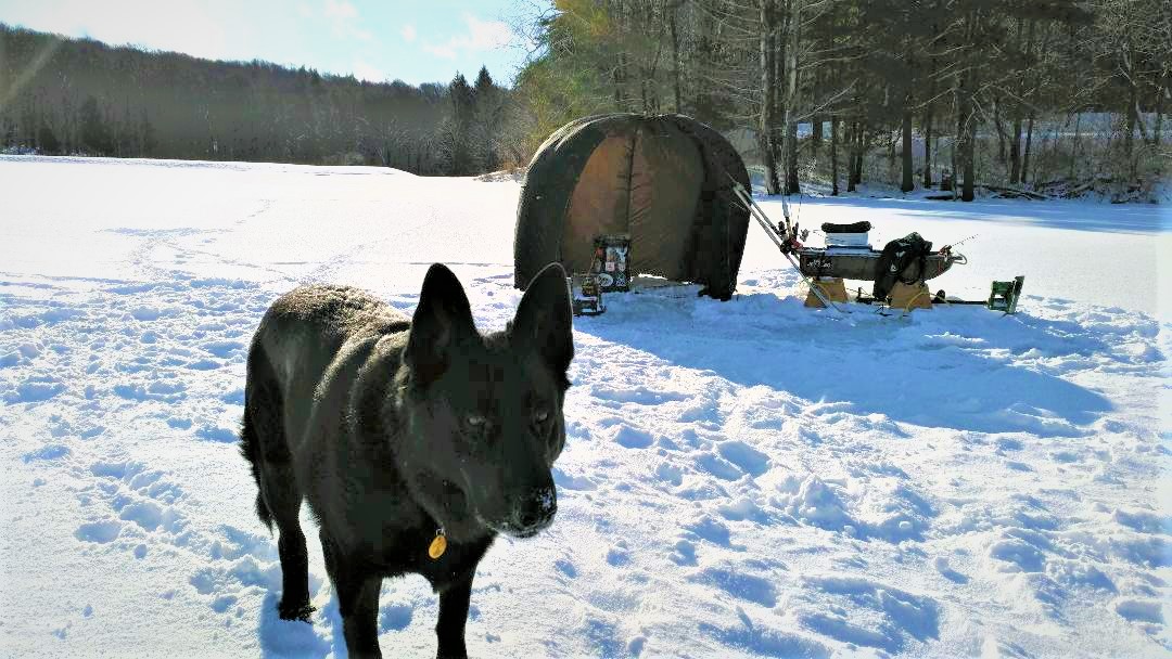 81458482_10218526812353846_8210821187446505472_o