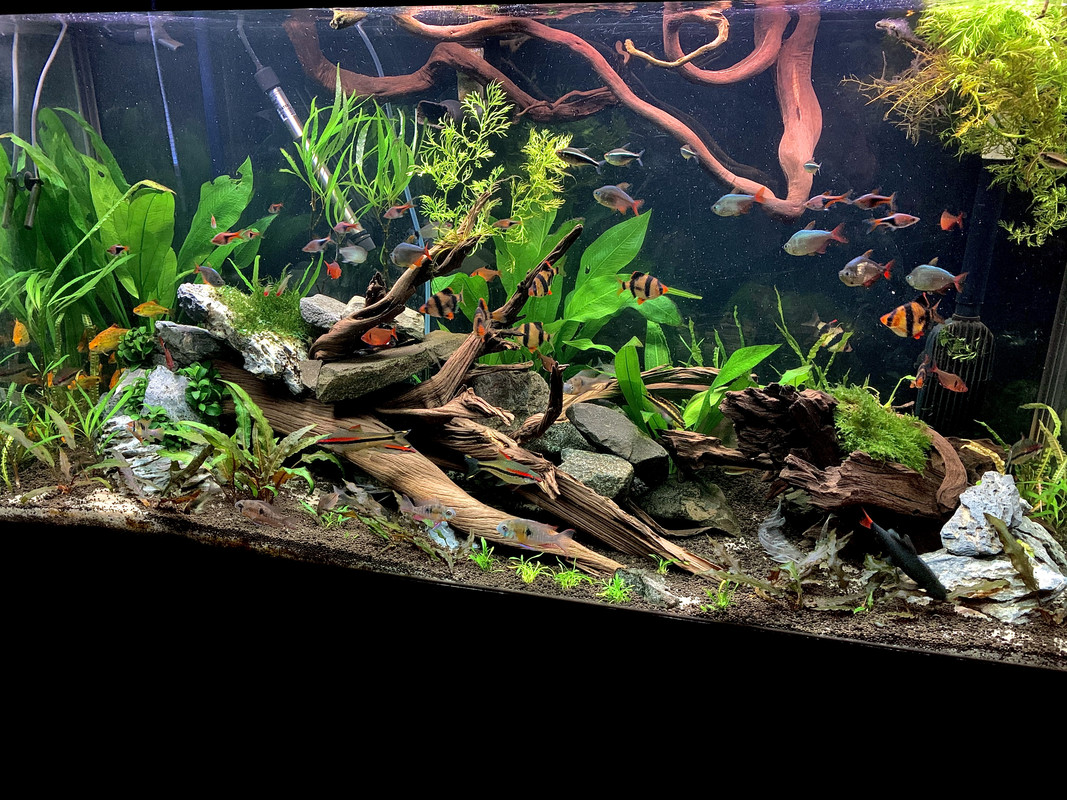 7FD5A4FC-FFBF-45E5-B850-0FF67F217380