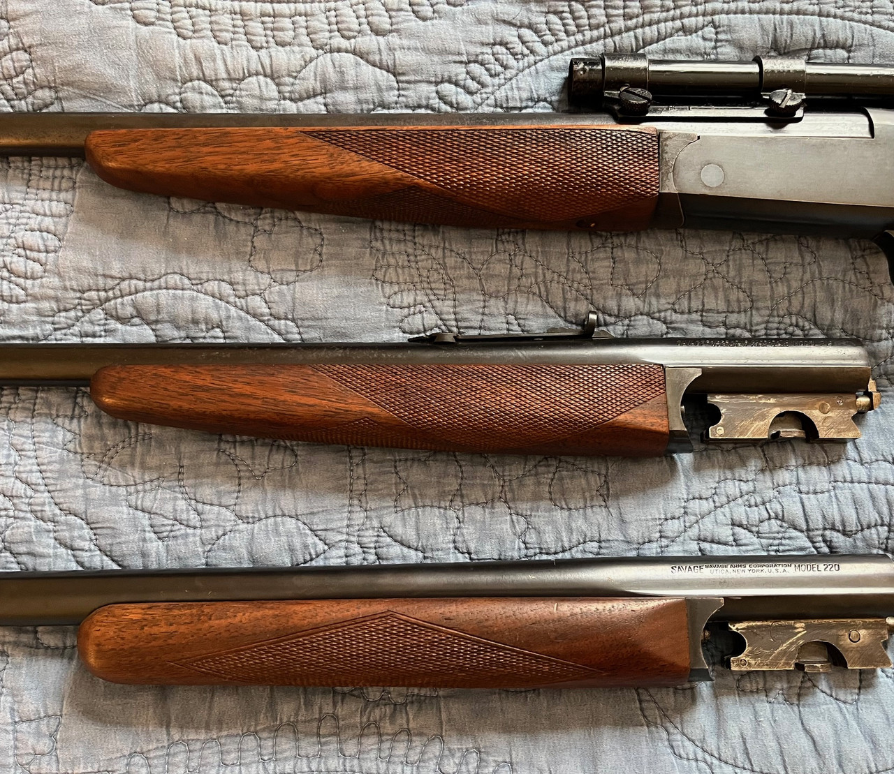 Forearms (Left Side)