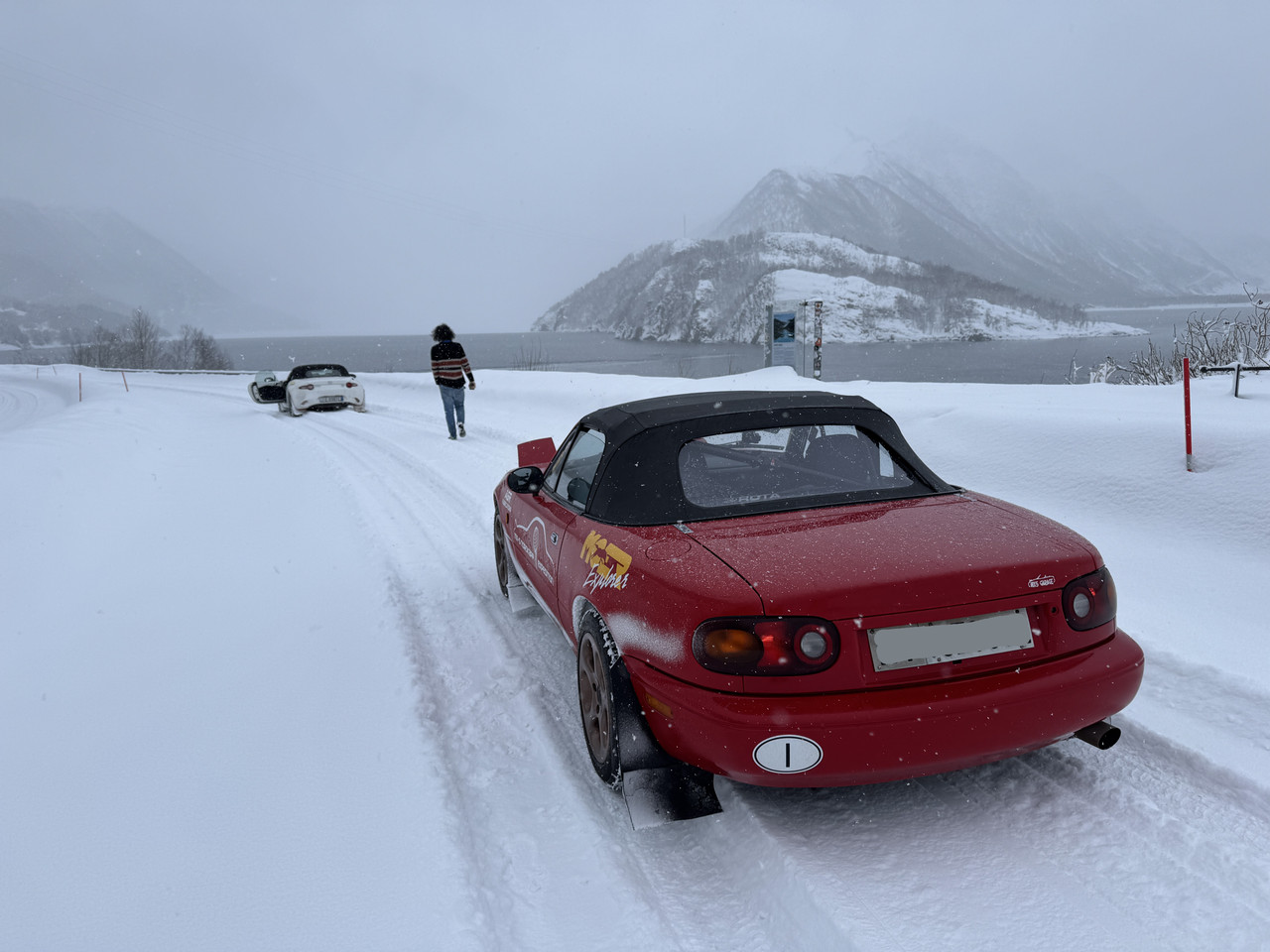 [Immagine: IMG-9084.jpg]