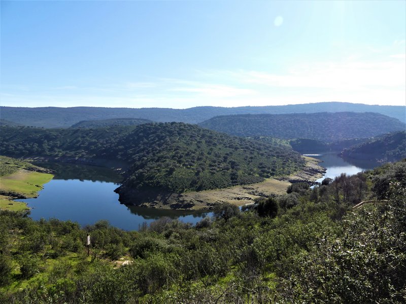 PARQUE NACIONAL DE MONFRAGÜE-2020/2023 - EXTREMADURA Y SUS PUEBLOS -2010-2023 (119)