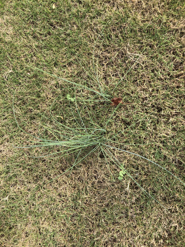 B4690D14-4352-49D9-87FC-A5474F5138B3