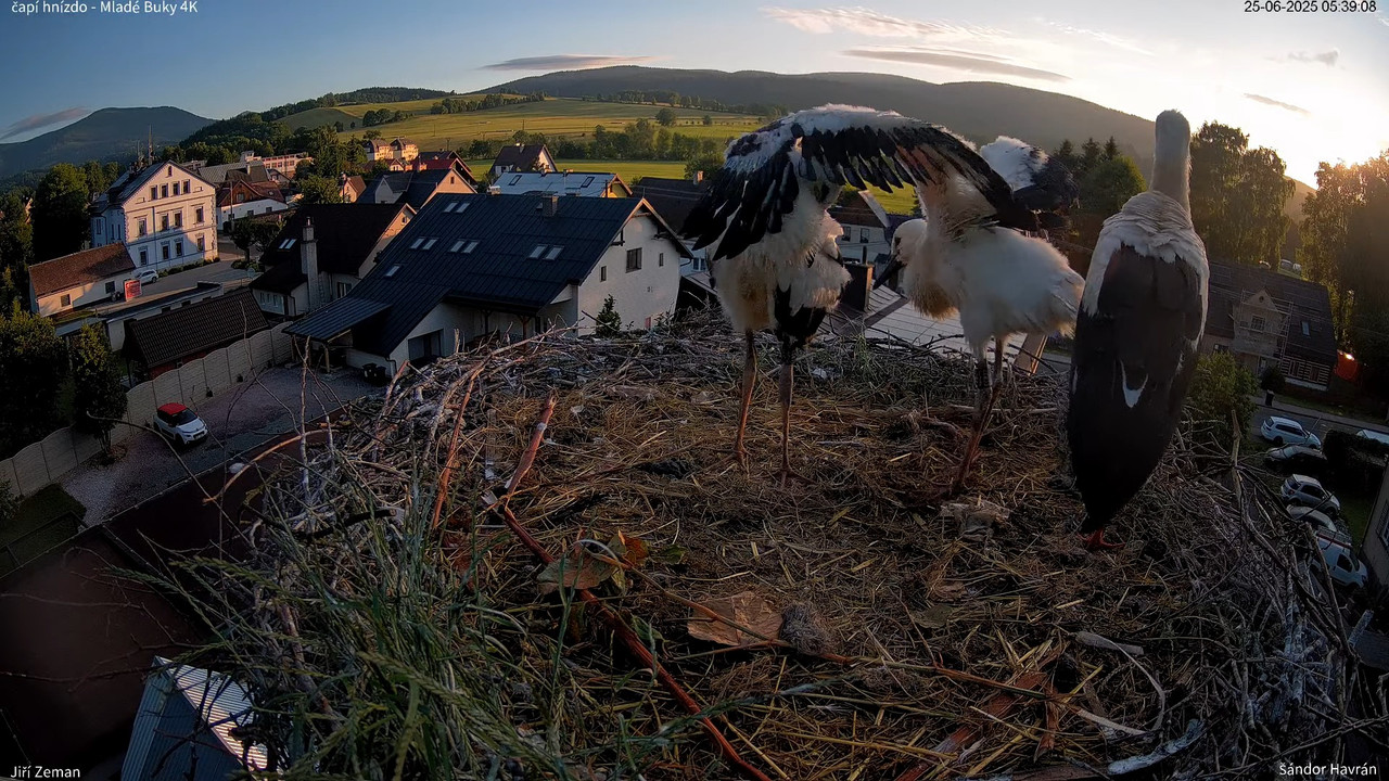 Tiešraides kamera — Mladé Buky — stārķa ligzda 4K 5-32-38 screenshot
