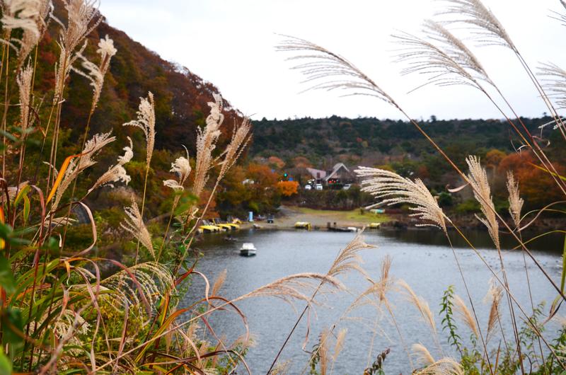 Lago Shōji-16-11-2024 - Japón y sus Pueblos-2024 (13)