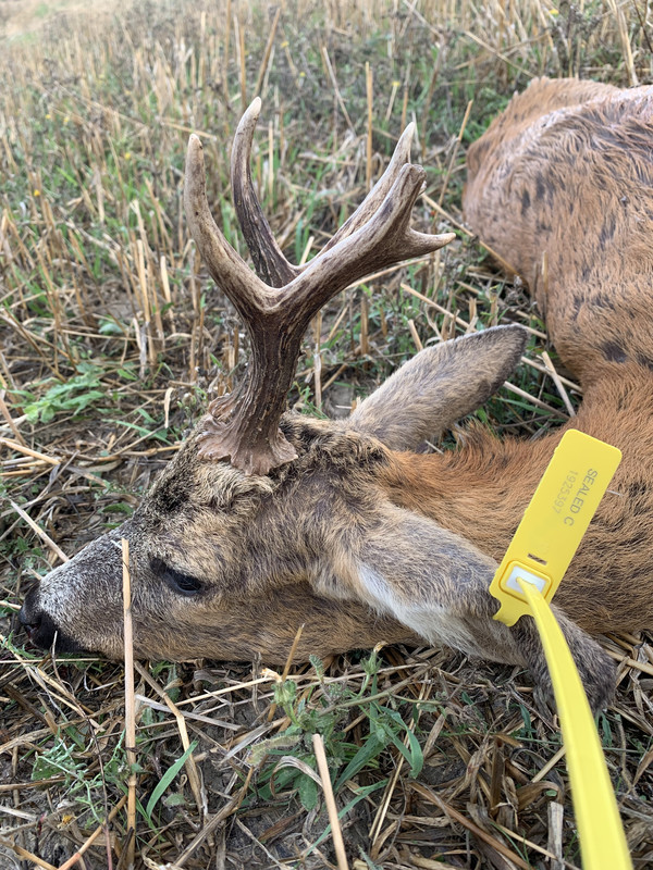 AEAA58A6-C0A7-48B9-95C6-5FC79BBEA5D1