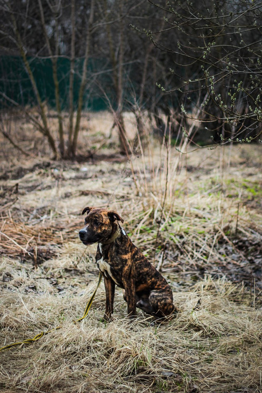 без имени-0617