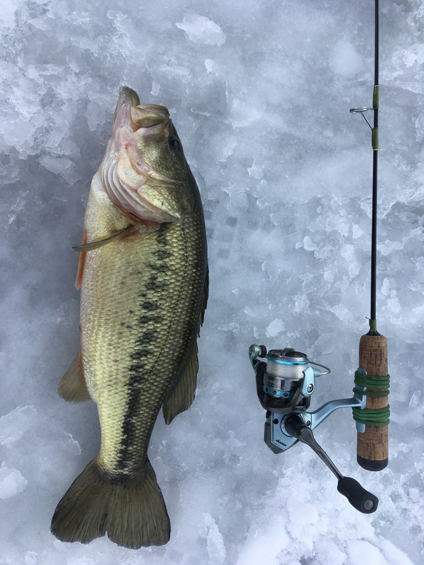 65FE6DC0-A789-4125-95E2-91E0A42D9722