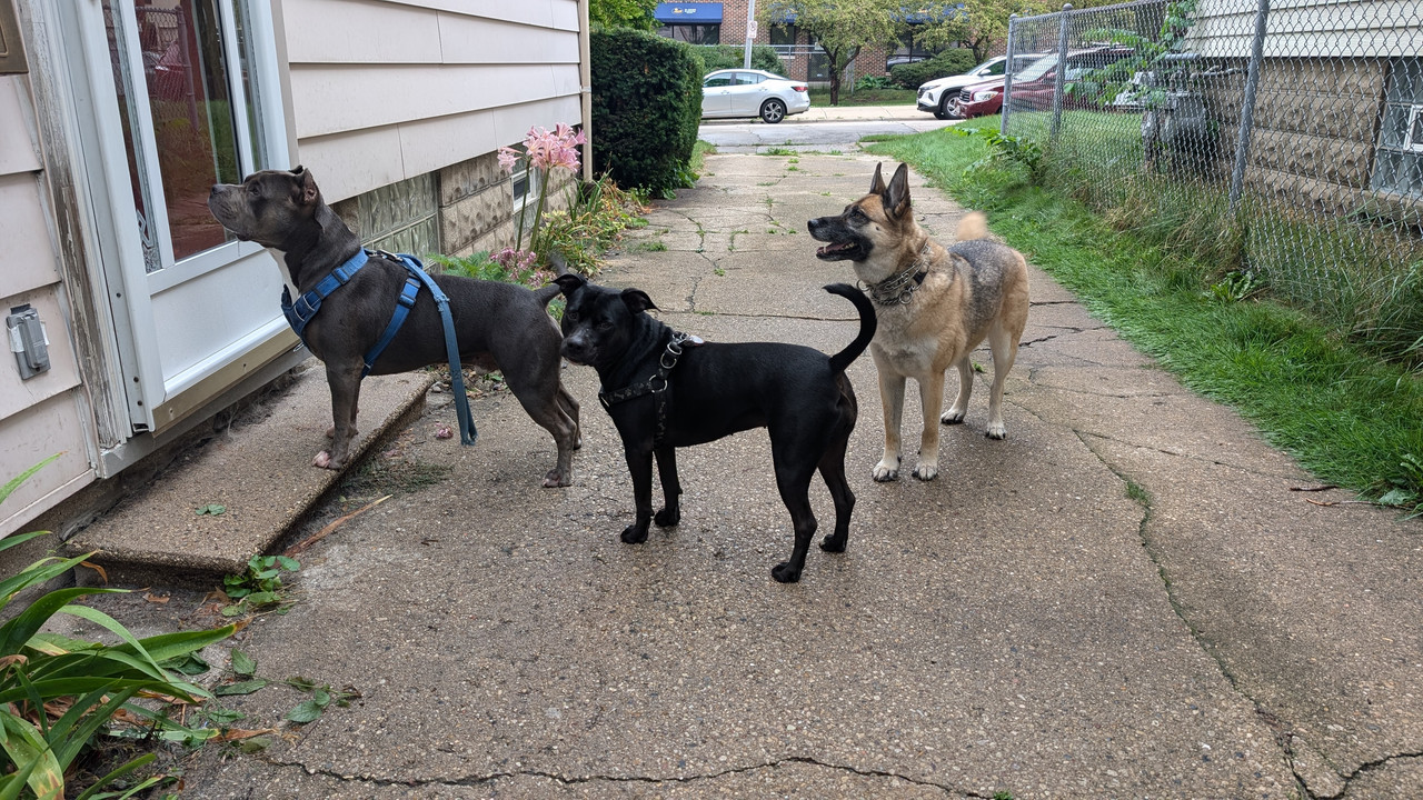 PXL_20240806_154444998.MP