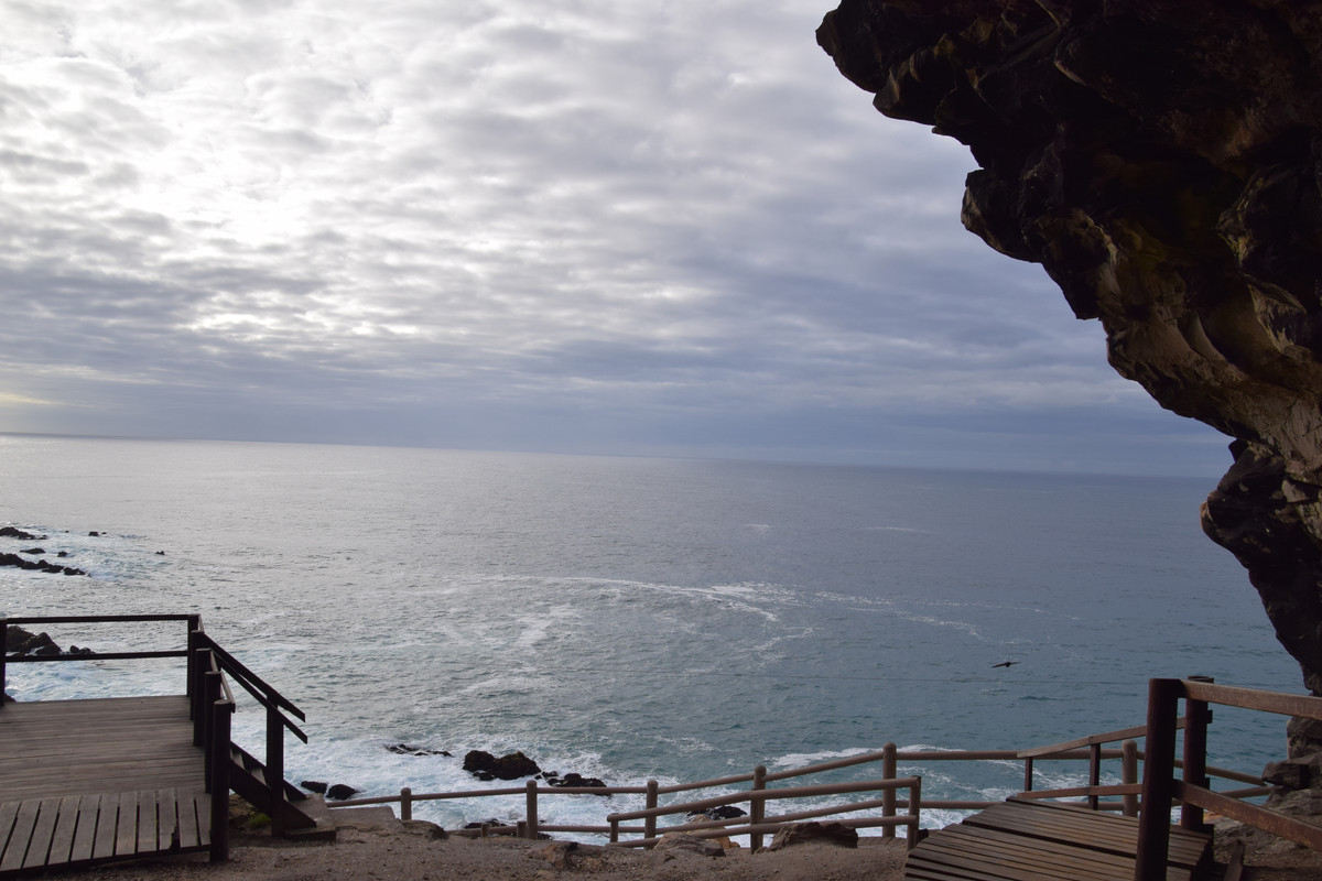 DSC_0107 (2)