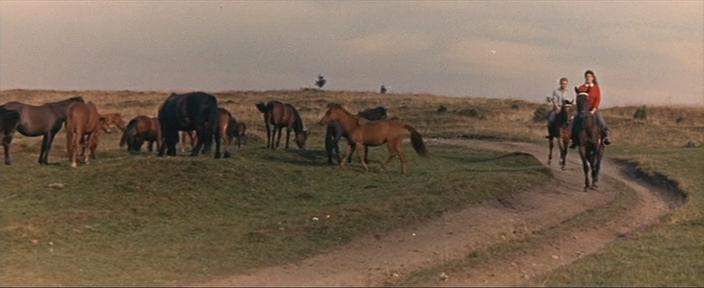 Smrt v sedle aka Death in the Saddle (1958).mkv_