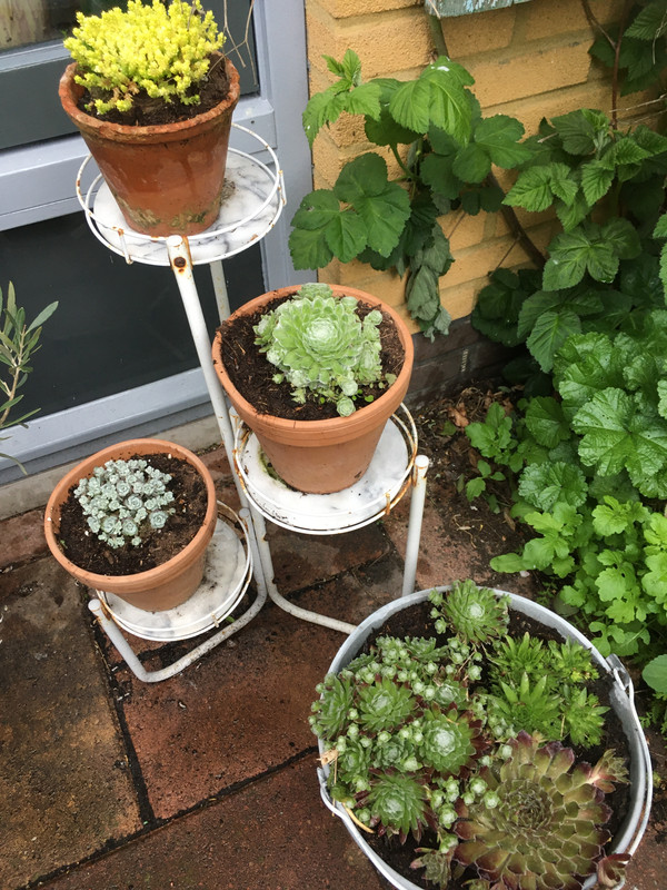 28FEEDA0-4DEE-4CA4-A8F0-A5E85D8264A8