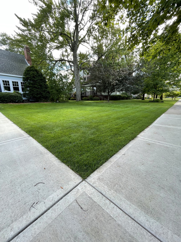 25EB82D0-7ABA-4BD3-B490-EBF9224CD383