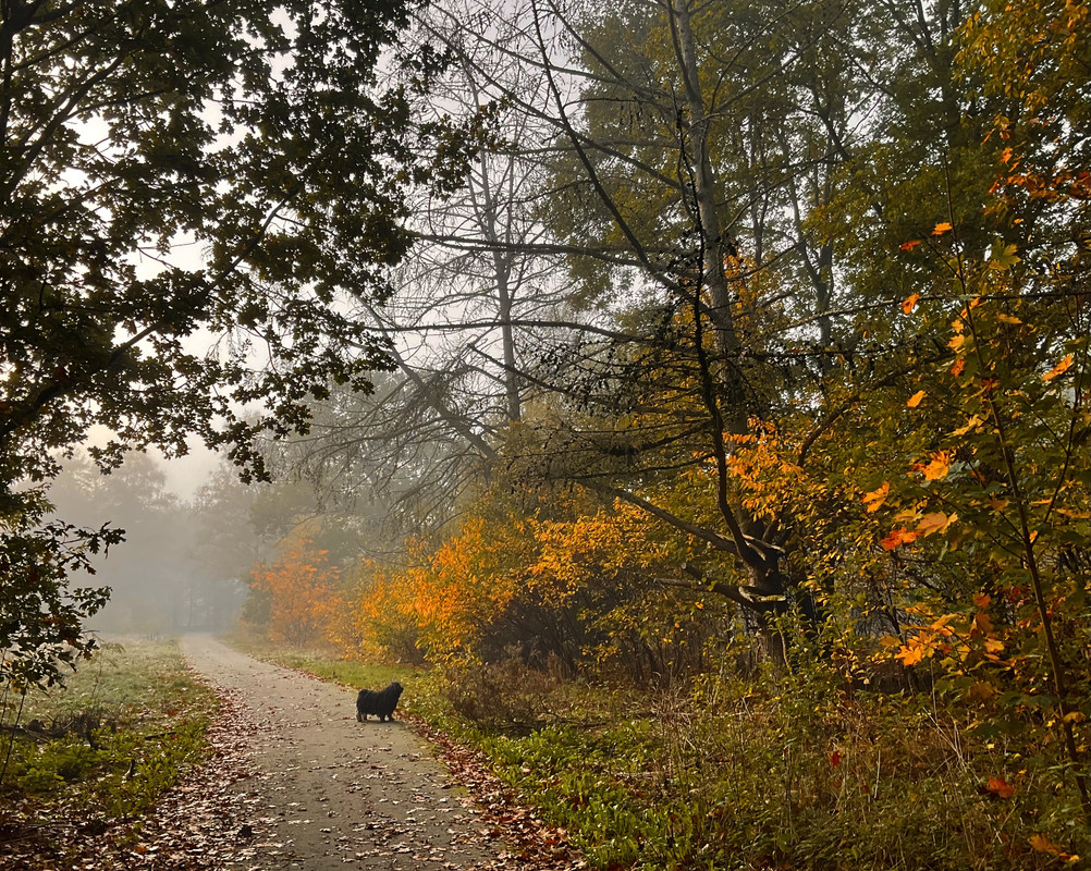 2C356F88-0BD9-426E-B36F-08C021B4ED5D