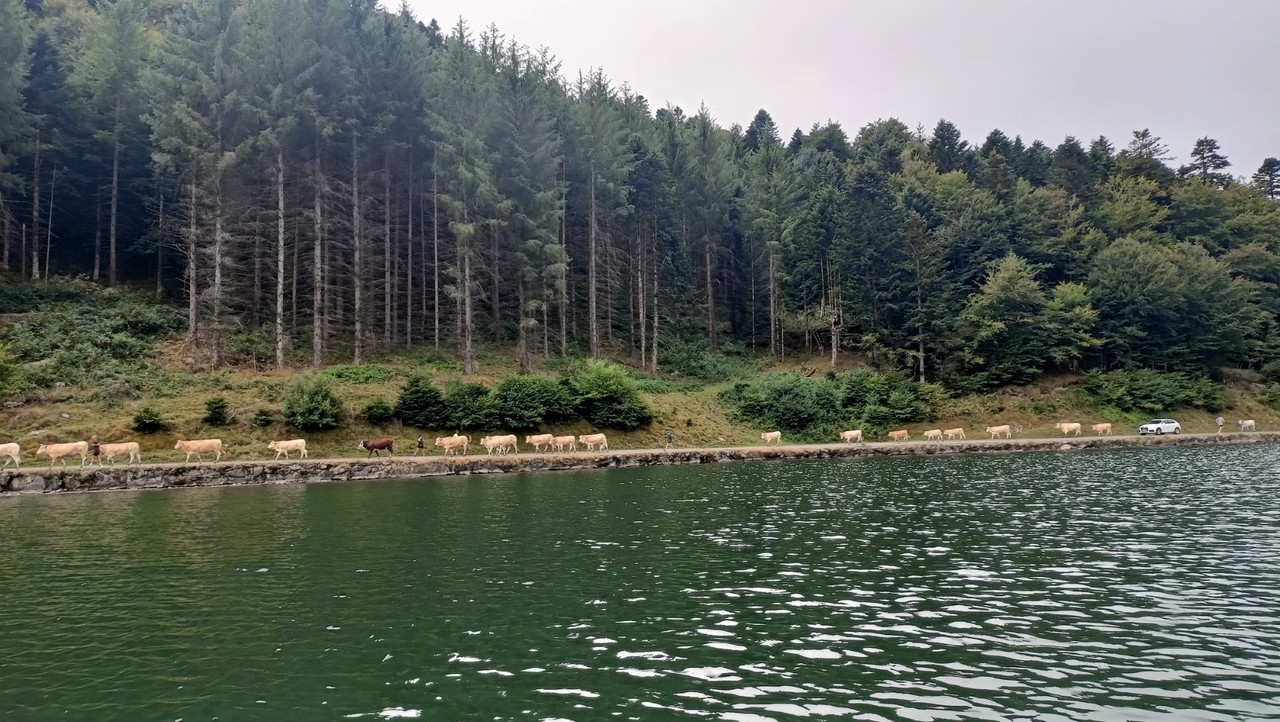 IMG20250819121228 (Large)