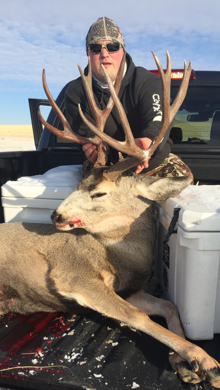 DB36631A-34CC-4903-86B8-C59082236E39