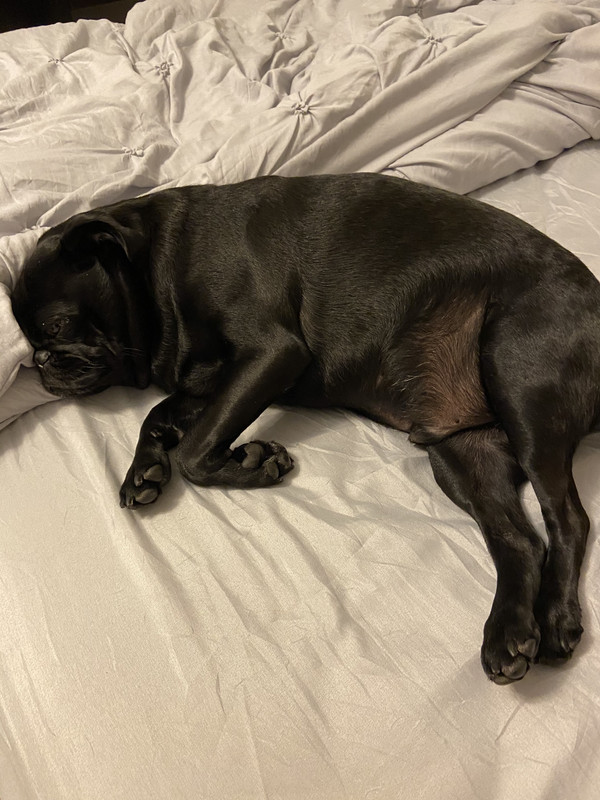 CBBB64A2-4413-494F-90FC-4ED4A328F2CC