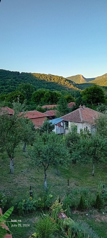 Slika