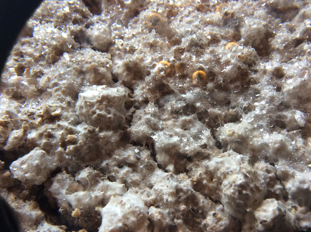 F895B299-2EB2-4DA6-8C6C-6C4E3CD09F3E