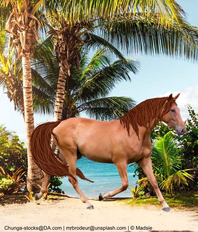 68829146-DC90-41FF-BE1A-14A20C804A1C