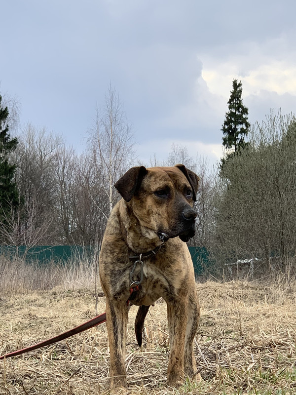 image-09-04-23-05-34-25 (1)_edit_586286565771996