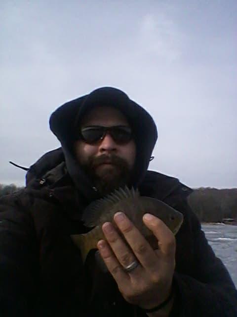 bluegill 1