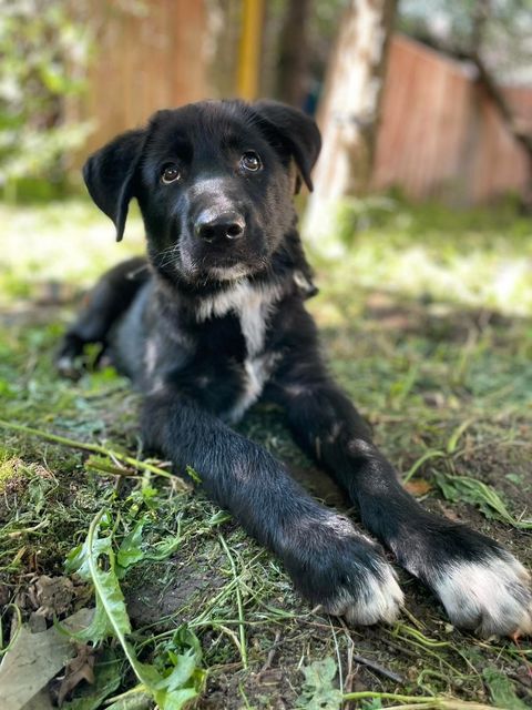 296335338_787170082305946_4647274753419302576_n