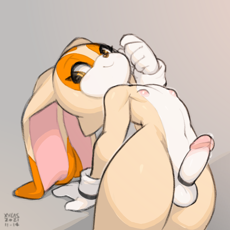 0434808c6f486443fdf0c653ac5aeab5