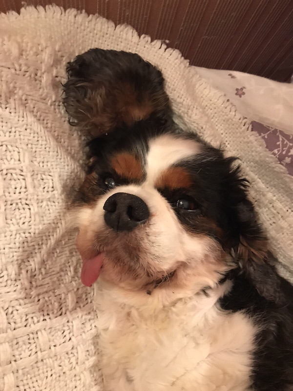 B557BE54-606F-42FF-8F9C-D2CC44BA622B