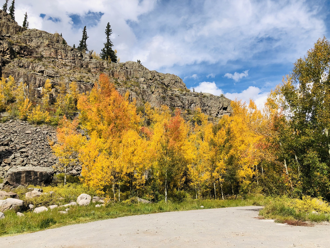 299CBD15-BDCD-4B7A-8534-4167A99D3B6D