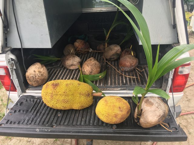 85A0C5BE-1E06-42EA-85A6-D541DAFECC5F