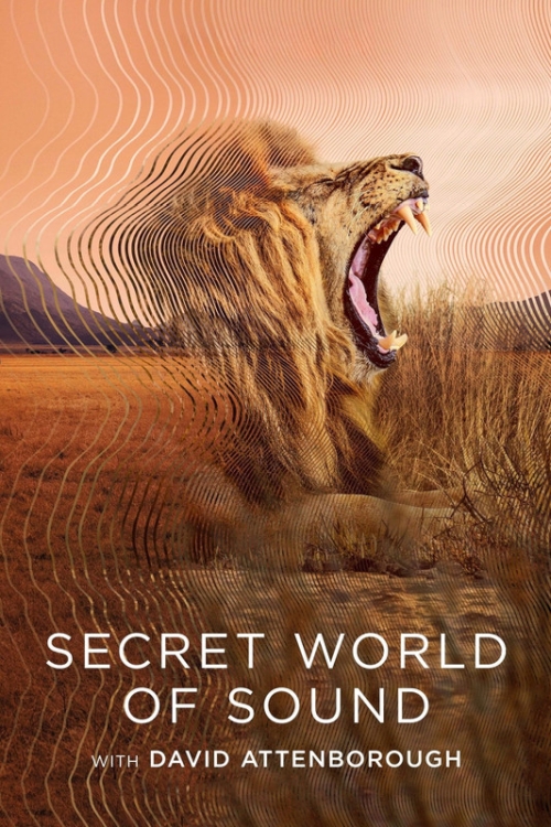David Attenborough: Tajemniczy świat dźwięków / Secret World of Sound with David Attenborough (2024) (Sezon 1) MULTi.10Bit.1080p.WEB.H265.AC3-Spedboy / Lektor i Napisy PL  