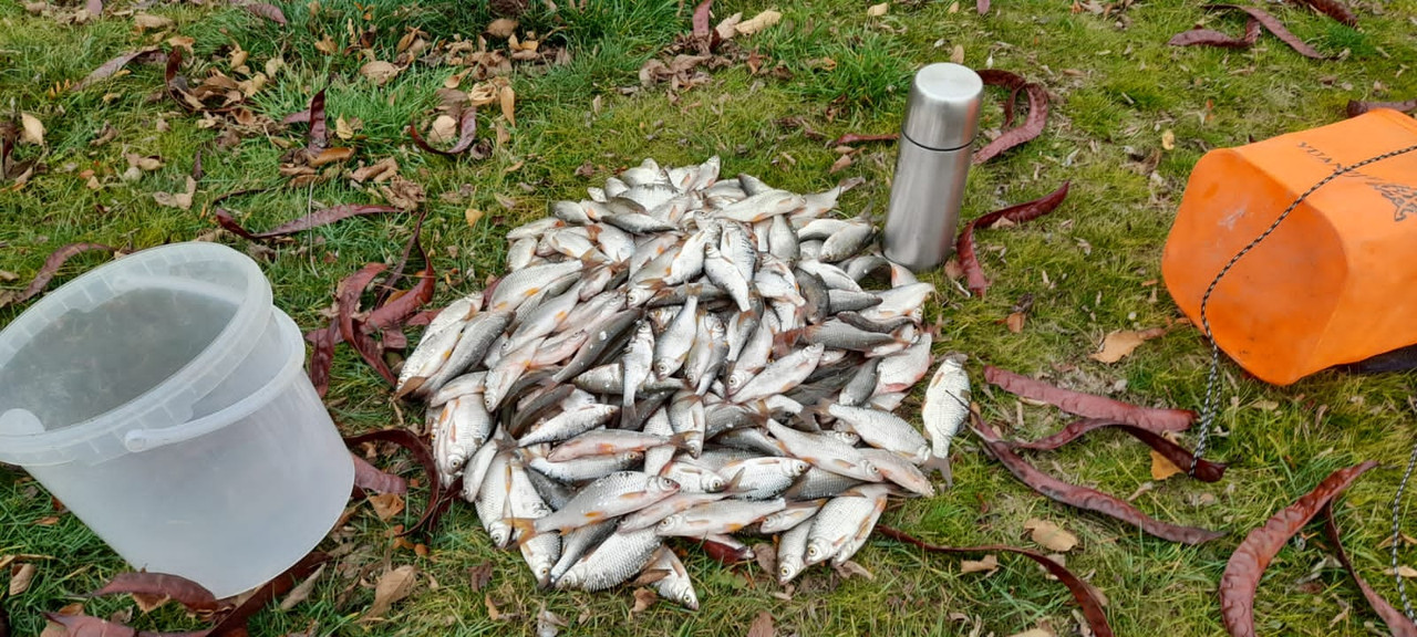 WhatsApp Image 2022-12-24 at 22.30.47 (1)