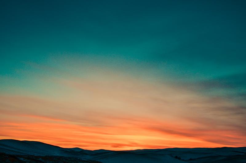 pexels-photo-66997.jpg