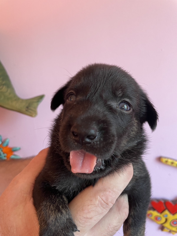 EDF92034-BADD-4821-8210-0C9BCEFB0702