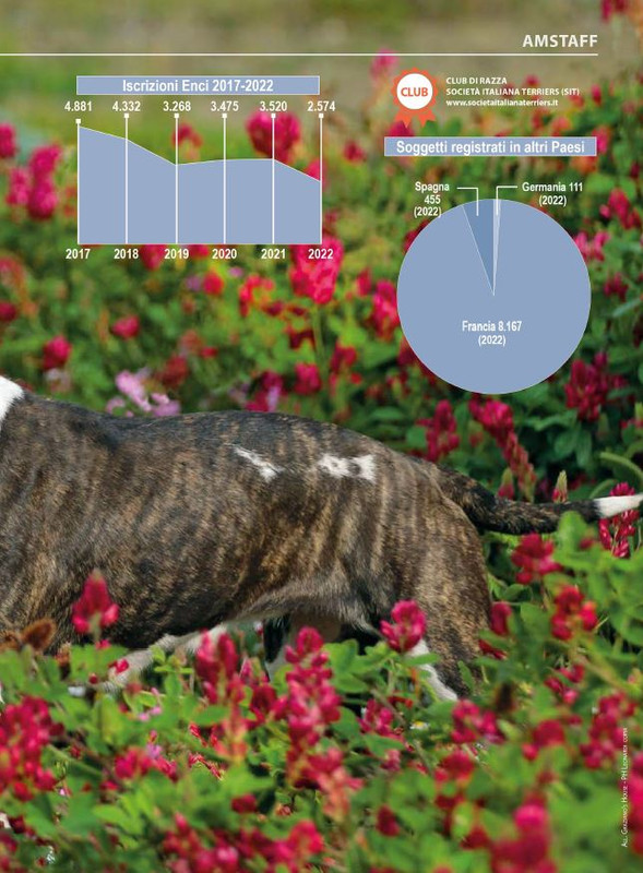 Il M C Mar-Apr 2024 (4)